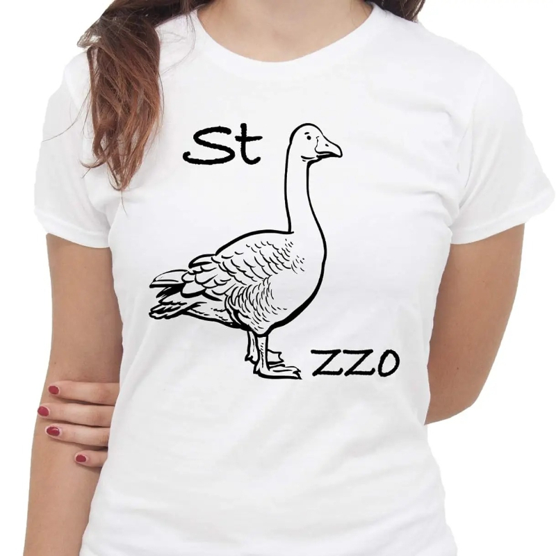 IMage Goose Rebus T-Shirt Funn - огляд і ціна Summer Clothing Images