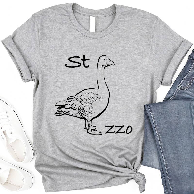 IMage Goose Rebus T-Shirt Funn - огляд і ціна Summer Clothing Images