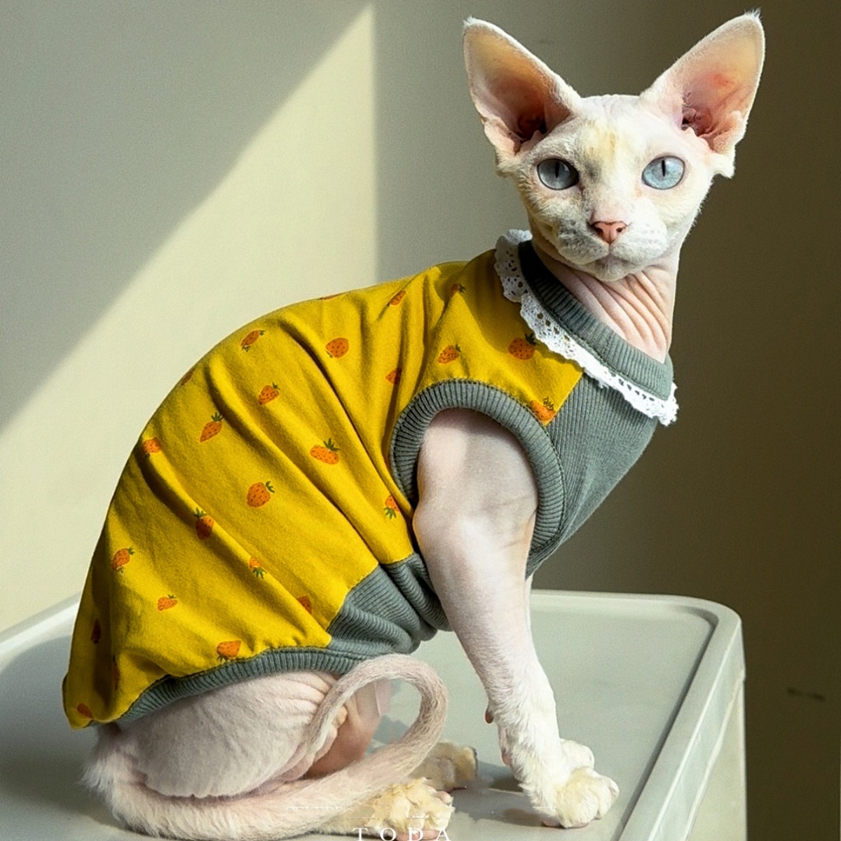 Clothing for Cat Spring Sweet  - огляд і ціна Yellow Summer Clothing