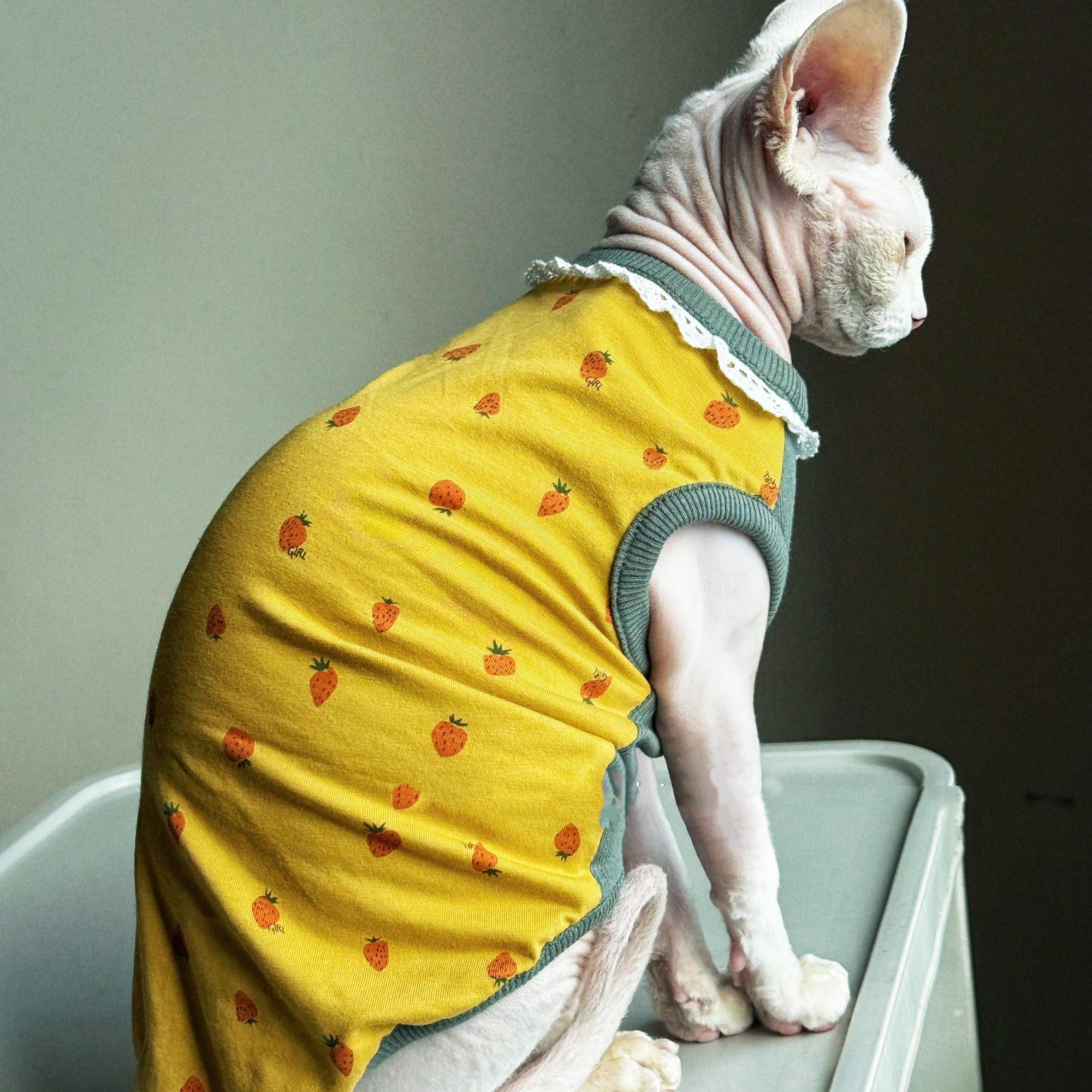 Clothing for Cat Spring Sweet  - огляд і ціна Yellow Summer Clothing