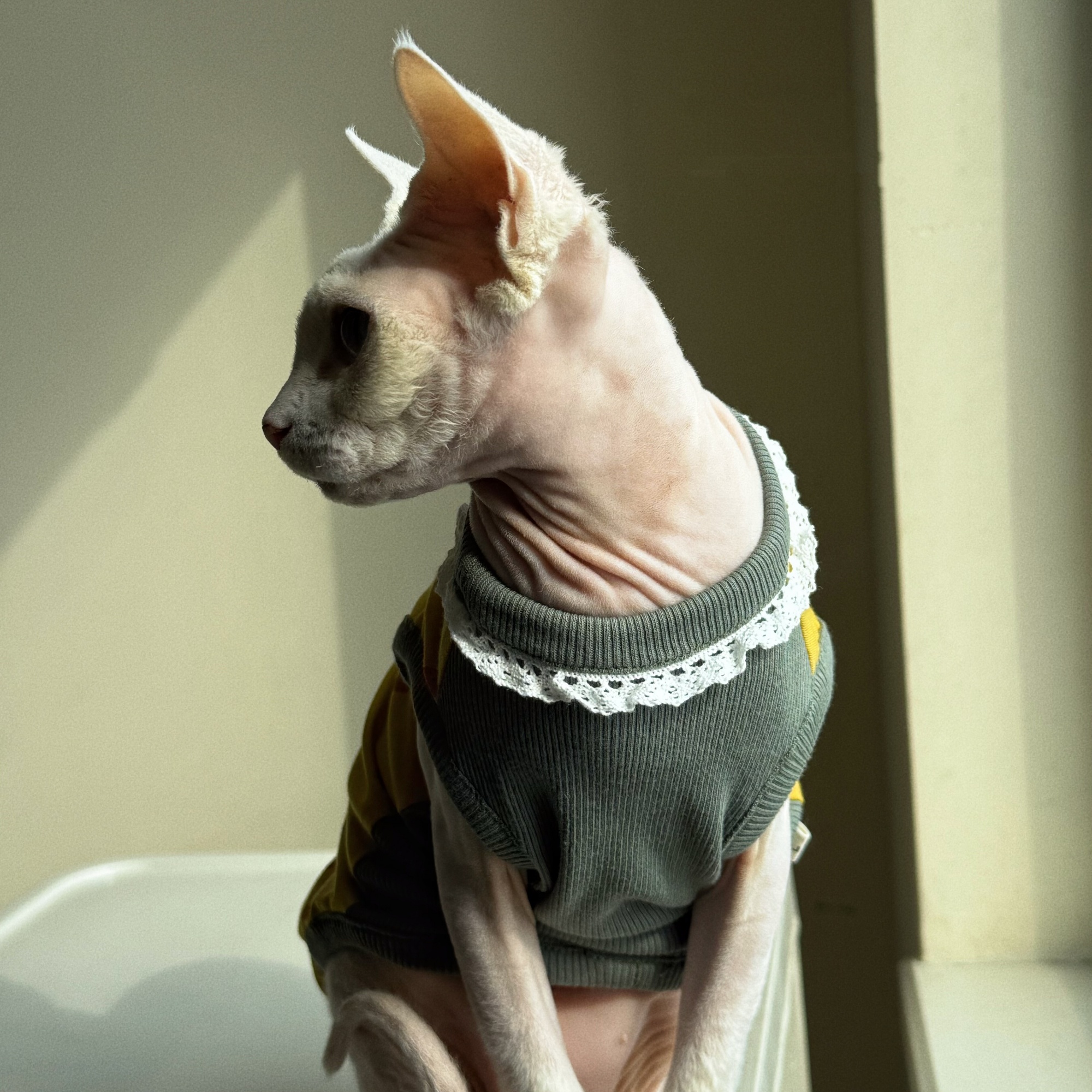 Clothing for Cat Spring Sweet  - огляд і ціна Yellow Summer Clothing
