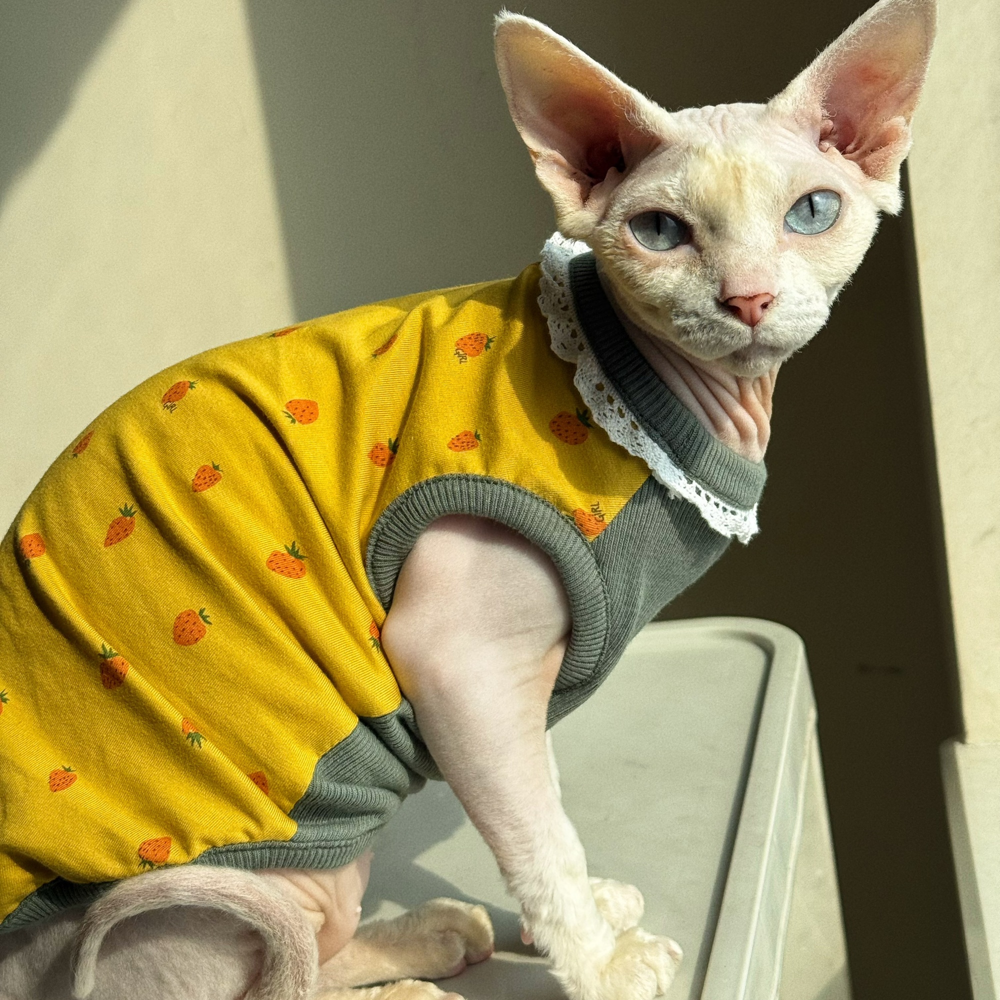 Clothing for Cat Spring Sweet  - огляд і ціна Yellow Summer Clothing